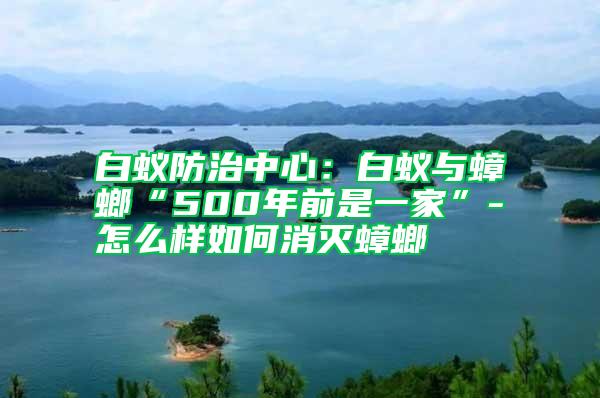 白蟻防治中心:白蟻與蟑螂“500年前是一家”-怎么樣如何消滅蟑螂