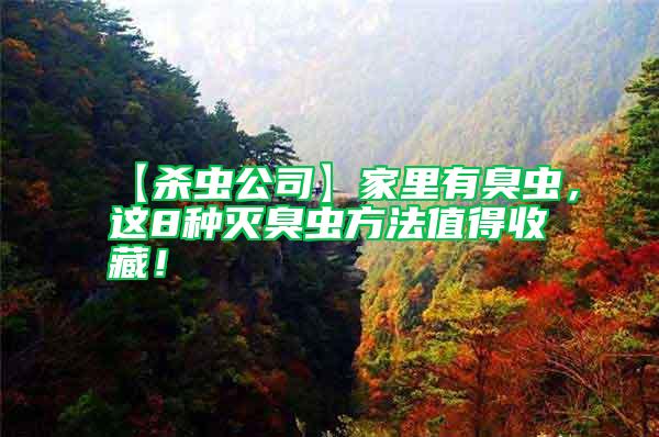 【殺蟲公司】家里有臭蟲,這8種滅臭蟲方法值得收藏!