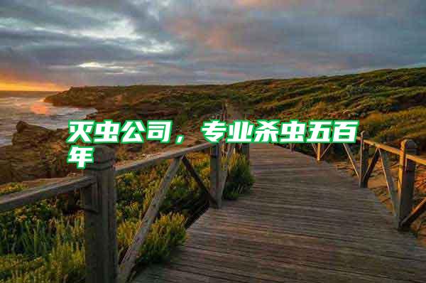 滅蟲公司，專業(yè)殺蟲五百年