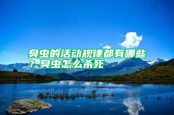 臭蟲的活動規律都有哪些?臭蟲怎么殺死