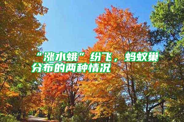 “漲水蛾”紛飛,螞蟻巢分布的兩種情況