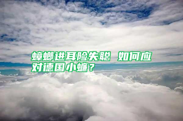 蟑螂進耳險失聰 如何應對德國小蠊?