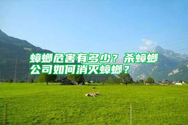 蟑螂危害有多少?殺蟑螂公司如何消滅蟑螂?