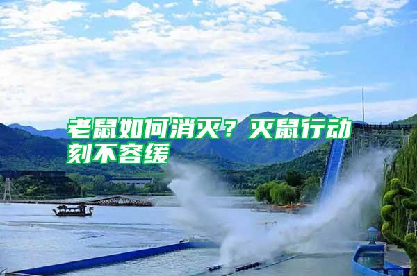 老鼠如何消滅?滅鼠行動(dòng)刻不容緩