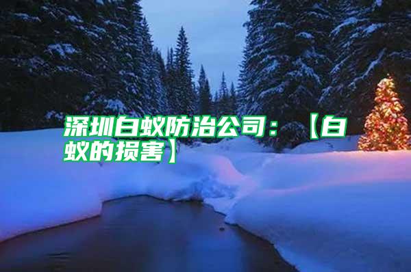 深圳白蟻防治公司:【白蟻的損害】