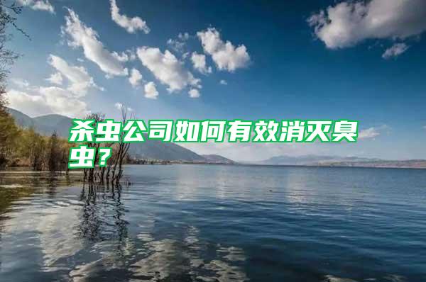 殺蟲(chóng)公司如何有效消滅臭蟲(chóng)?