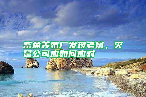 畜禽養殖廠發現老鼠,滅鼠公司應如何應對