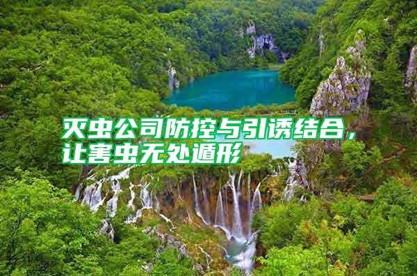 滅蟲公司防控與引誘結(jié)合，讓害蟲無處遁形