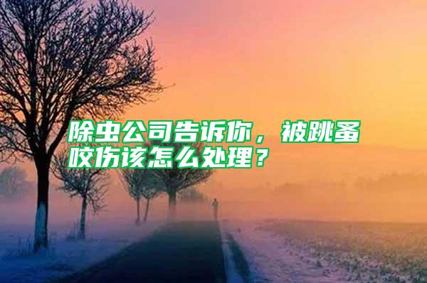 除蟲公司告訴你，被跳蚤咬傷該怎么處理？