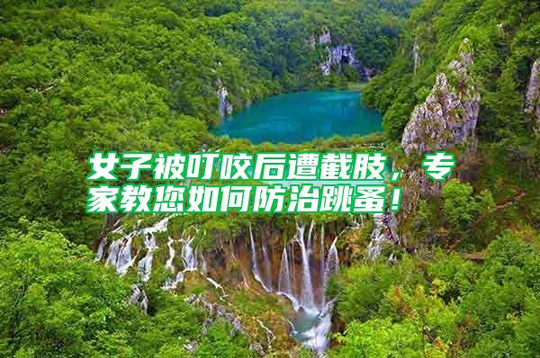 女子被叮咬后遭截肢，專家教您如何防治跳蚤！