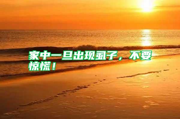 家中一旦出現(xiàn)虱子,不要驚慌!