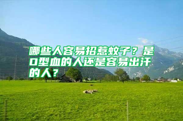 哪些人容易招惹蚊子?是O型血的人還是容易出汗的人?