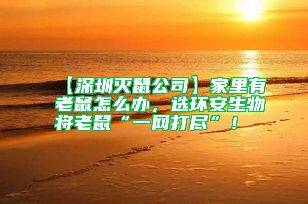 【深圳滅鼠公司】家里有老鼠怎么辦，選環(huán)安生物將老鼠“一網(wǎng)打盡”！