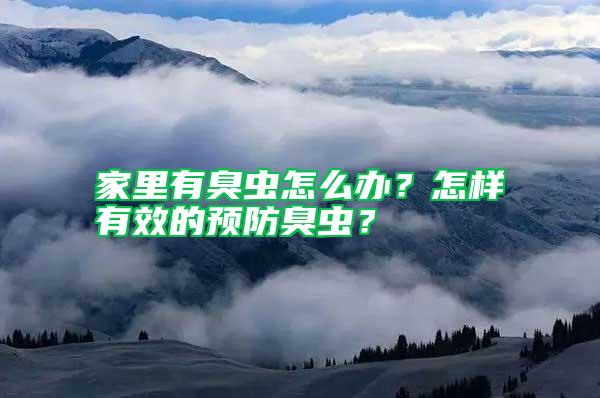 家里有臭蟲怎么辦?怎樣有效的預防臭蟲?