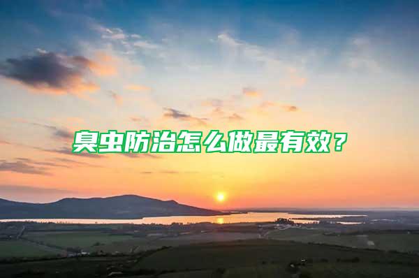 臭蟲防治怎么做最有效？