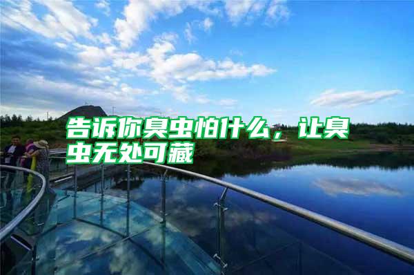 告訴你臭蟲怕什么,讓臭蟲無處可藏