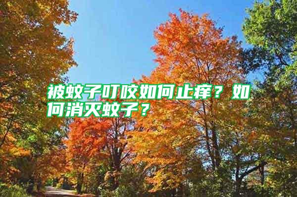 被蚊子叮咬如何止癢?如何消滅蚊子?