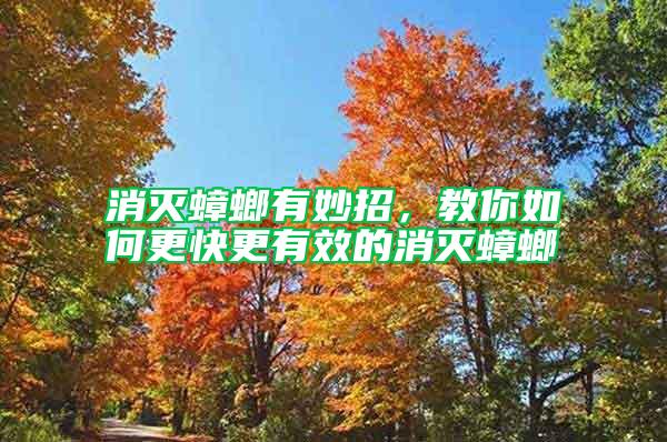 消滅蟑螂有妙招，教你如何更快更有效的消滅蟑螂