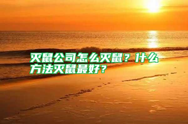 滅鼠公司怎么滅鼠?什么方法滅鼠最好?