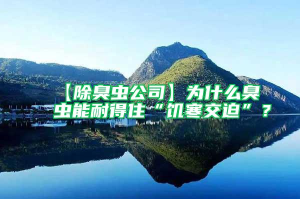 【除臭蟲公司】為什么臭蟲能耐得住“饑寒交迫”？