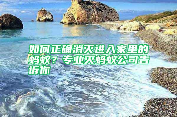 如何正確消滅進(jìn)入家里的螞蟻?專業(yè)滅螞蟻公司告訴你