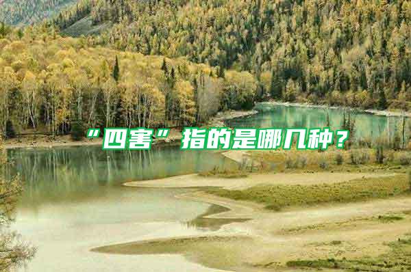 “四害”指的是哪幾種？