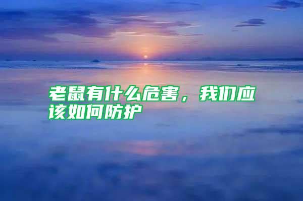 老鼠有什么危害,我們應該如何防護