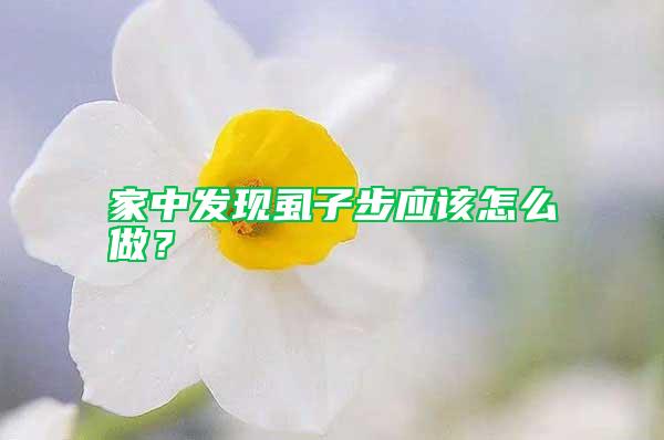 家中發(fā)現(xiàn)虱子步應(yīng)該怎么做？