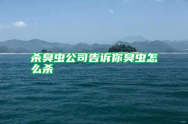 殺臭蟲(chóng)公司告訴你臭蟲(chóng)怎么殺