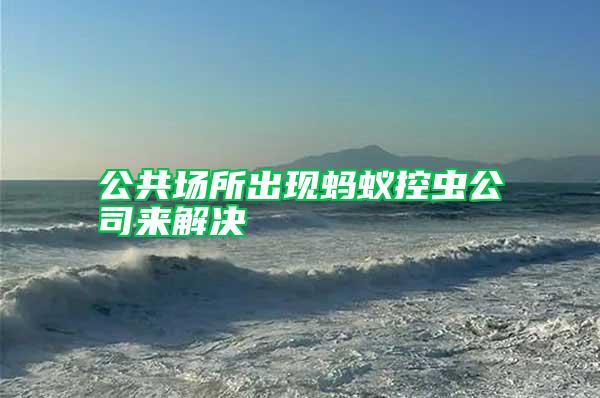 公共場所出現(xiàn)螞蟻控蟲公司來解決