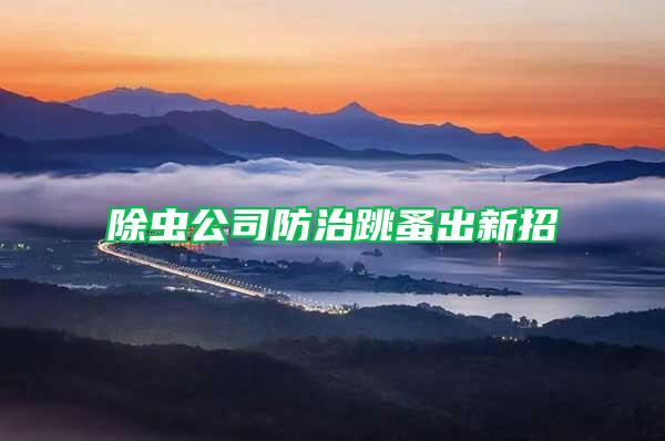 除蟲(chóng)公司防治跳蚤出新招