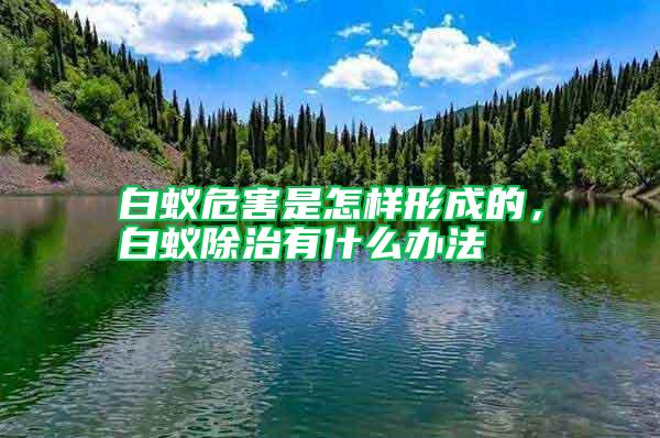 白蟻危害是怎樣形成的,白蟻除治有什么辦法
