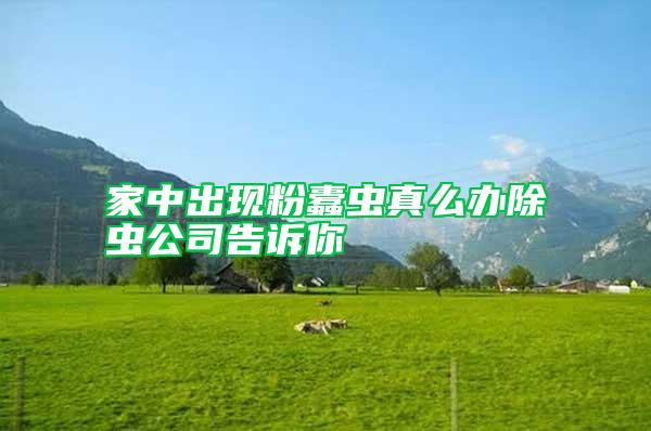 家中出現(xiàn)粉蠹蟲(chóng)真么辦除蟲(chóng)公司告訴你