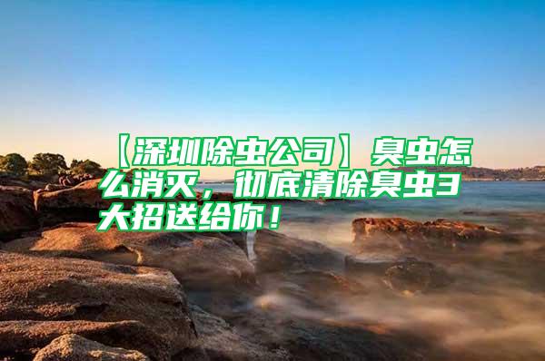 【深圳除蟲公司】臭蟲怎么消滅，徹底清除臭蟲3大招送給你！