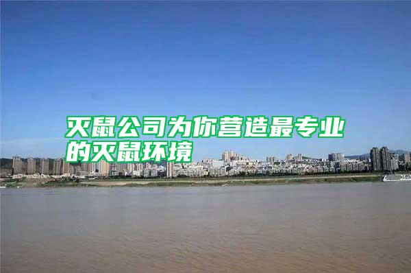 滅鼠公司為你營造最專業的滅鼠環境