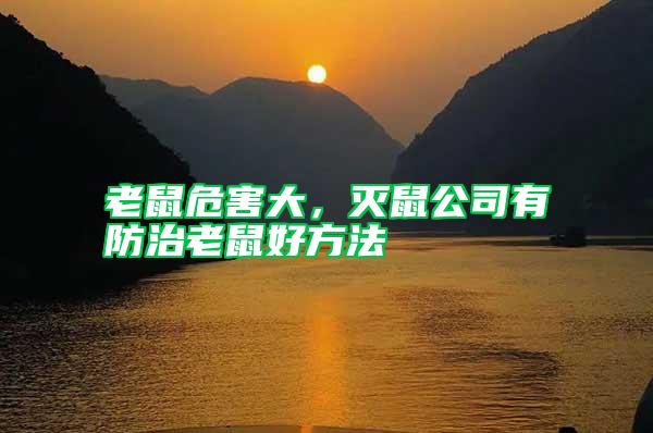 老鼠危害大，滅鼠公司有防治老鼠好方法