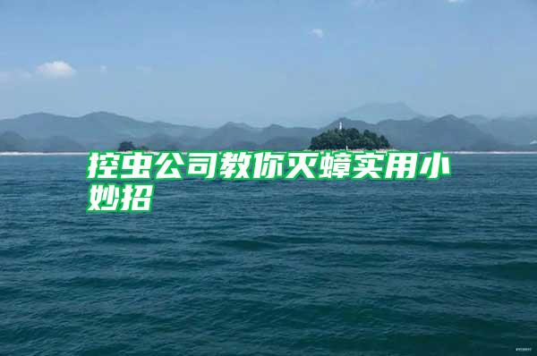 控蟲公司教你滅蟑實用小妙招