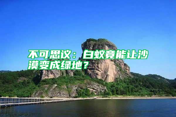 不可思議：白蟻竟能讓沙漠變成綠地？