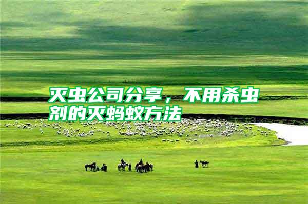 滅蟲公司分享,不用殺蟲劑的滅螞蟻方法