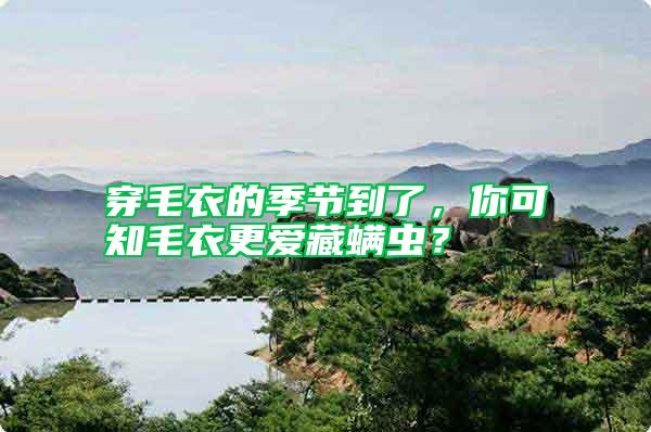 穿毛衣的季節到了，你可知毛衣更愛藏螨蟲？