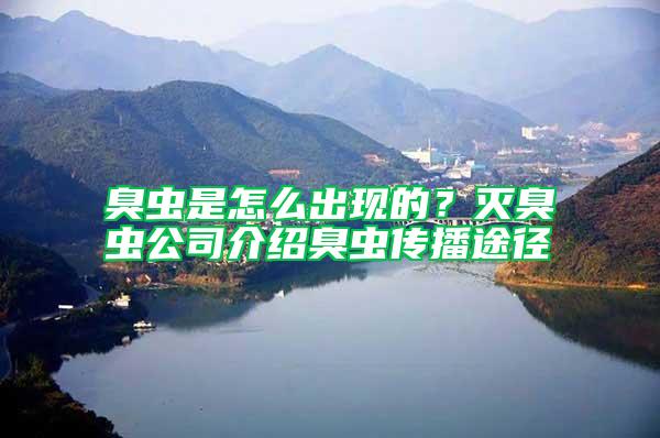 臭蟲(chóng)是怎么出現(xiàn)的?滅臭蟲(chóng)公司介紹臭蟲(chóng)傳播途徑