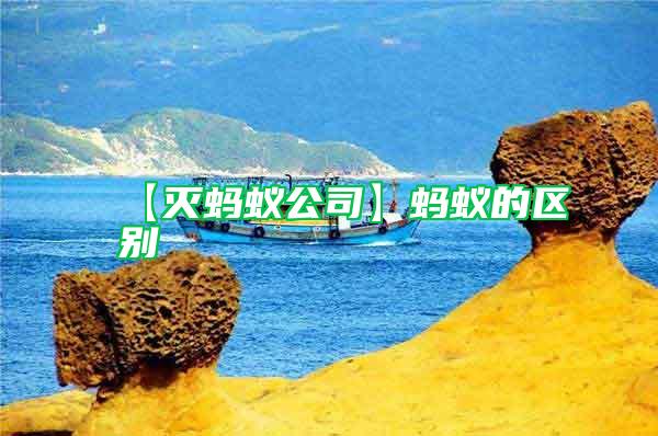 【滅螞蟻公司】螞蟻的區(qū)別