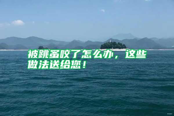被跳蚤咬了怎么辦，這些做法送給您！