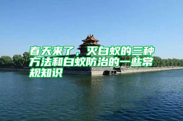 春天來了，滅白蟻的三種方法和白蟻防治的一些常規知識