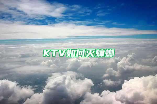 KTV如何滅蟑螂