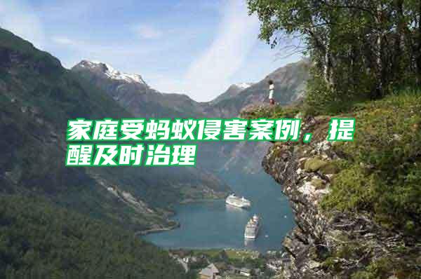 家庭受螞蟻侵害案例，提醒及時治理