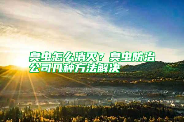 臭蟲怎么消滅?臭蟲防治公司幾種方法解決