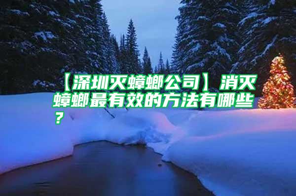 【深圳滅蟑螂公司】消滅蟑螂最有效的方法有哪些？