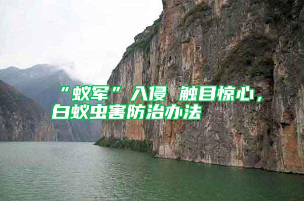 “蟻軍”入侵 觸目驚心，白蟻蟲害防治辦法