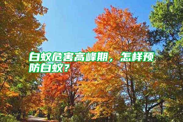 白蟻危害高峰期,怎樣預防白蟻?